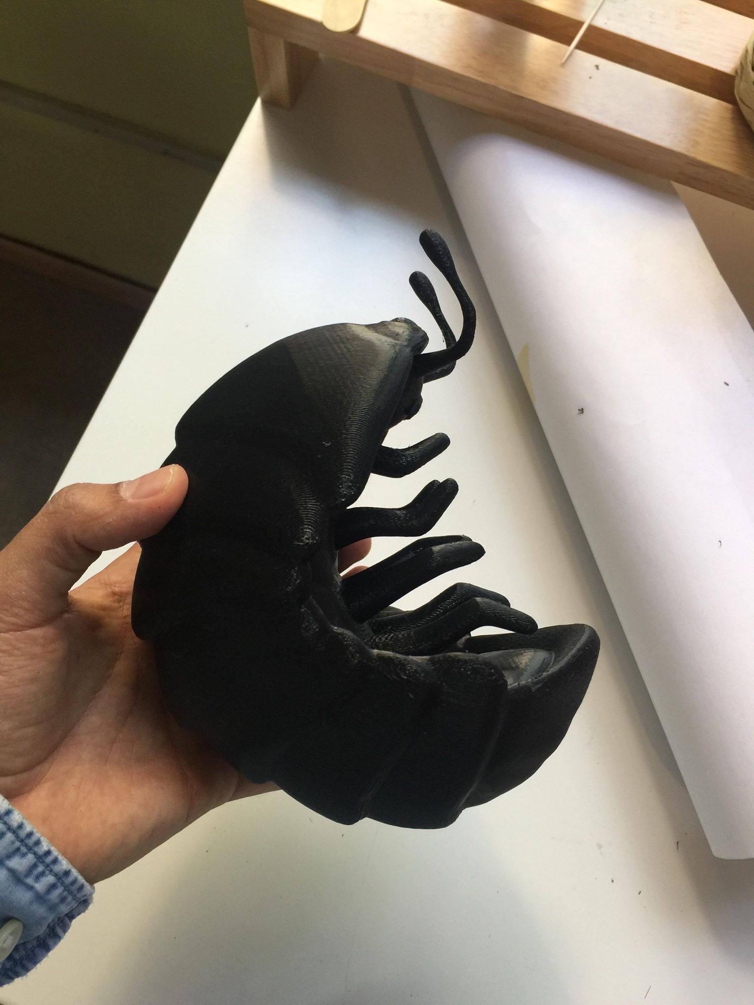 30705634_10156490900859474_8518515844282580992_o