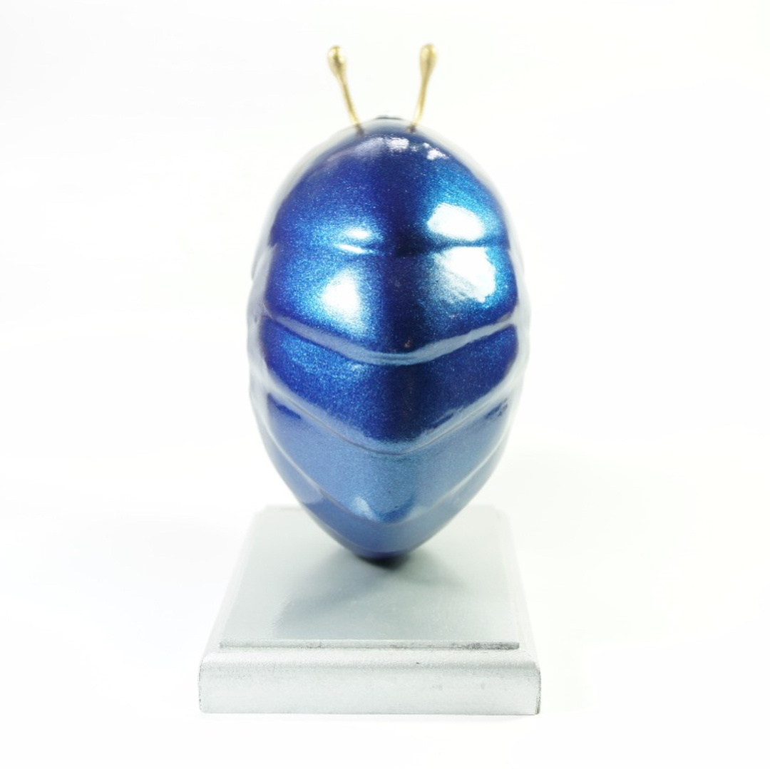 31180248_10156504373199474_6922291901559209984_o-1