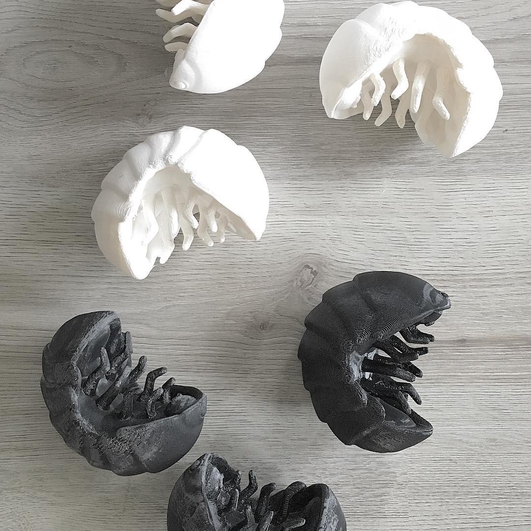 51195252_10157210950829474_3192932357757730816_o