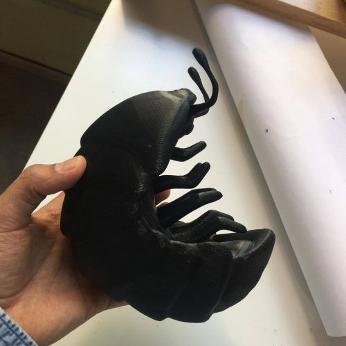 30705634_10156490900859474_8518515844282580992_o