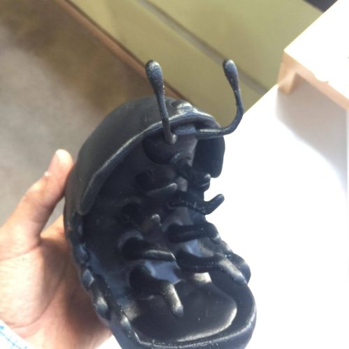 30727061_10156490900874474_8967050488868503552_o