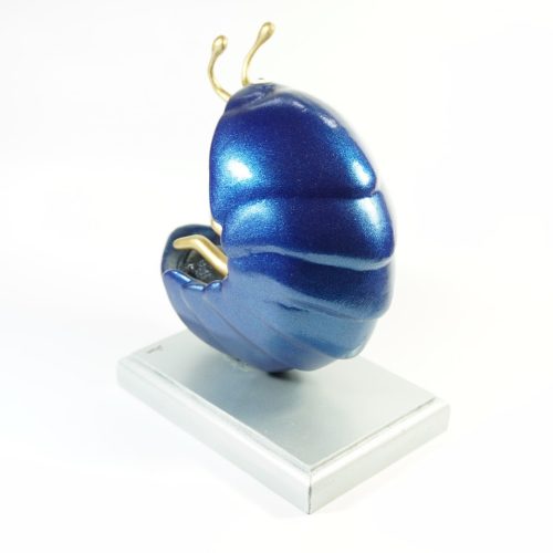 31131550_10156504373134474_4209434903495835648_o-1