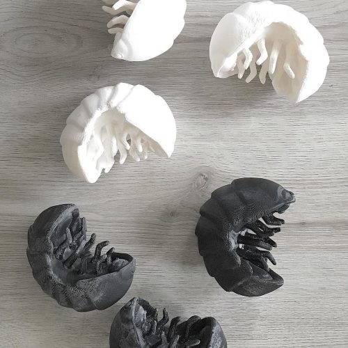 51195252_10157210950829474_3192932357757730816_o